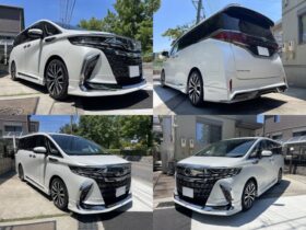 
									TOYOTA Alphard Executive Lounge Pearl White 2023′ CS3XO full								