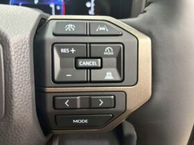 
									TOYOTA Land Cruiser Wagon VX First Edition Beige 2024′ CWA2M full								