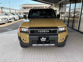 
									TOYOTA Land Cruiser Wagon VX First Edition Beige 2024′ D0BNE full								