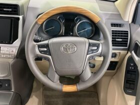 
									TOYOTA Land Cruiser Prado TX L Packet Matte Black Ed Pearl White 2023′ D0KW3 full								