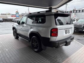 
									TOYOTA Land Cruiser Wagon VX   125KM Pearl White 2024′ D2GRW full								