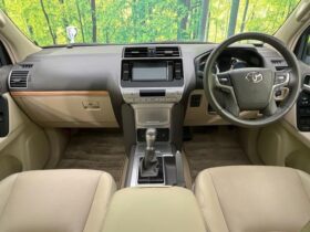 
									TOYOTA Land Cruiser Prado TX L Packet Matte Black Ed Pearl White 2022′ D2OXR full								