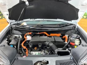 
									Honda Odyssey Absolute EX Black Edition Pearl White 2024′ D4U76 full								
