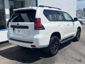 
									TOYOTA Land Cruiser Prado TX L Packet Matte Black Ed Pearl White 2023′ D94II full								