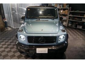 
									Mercedes-Benz G Class Manu Factuer Edition Blue 2021′ DBDMA full								