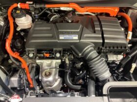 
									Honda Odyssey Absolute EX Pearl White 2021′ DDEM8 full								