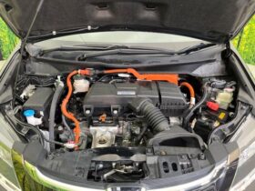 
									Honda Odyssey Absolute Honda Sensing Black 2019′ DDEOB full								