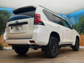 
									TOYOTA Land Cruiser Prado TX L Packet Matte Black Ed Pearl White 2023′ DFJMO full								