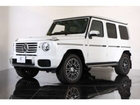 
									Mercedes-Benz G Class G450d Launch Edition (ISG) Pearl White 2024′ DFK5E full								