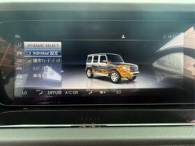 
									Mercedes-Benz G Class G350d 4WD White 2020′ DFNGX full								
