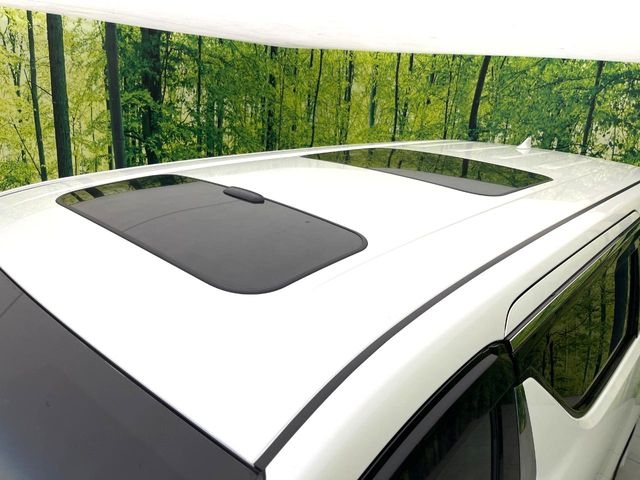 TOYOTA Alphard S Type Gold 2 Pearl White 2021′ DHOTL