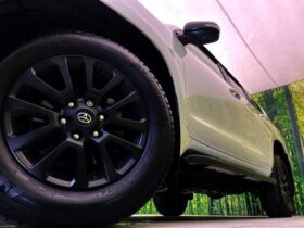 
									TOYOTA Land Cruiser Prado TX L Packet Matte Black Ed Pearl White 2023′ DHOUL full								