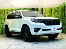 
									TOYOTA Land Cruiser Prado TX L Packet Matte Black Ed Pearl White 2023′ DHOUL full								