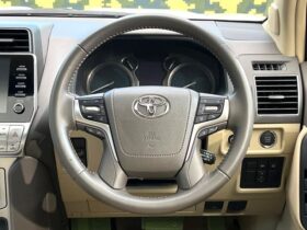 
									TOYOTA Land Cruiser Prado TX L Packet Matte Black Ed Pearl White 2023′ DHOZS full								