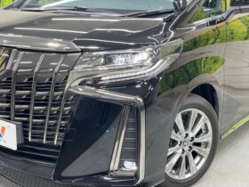 
									TOYOTA Alphard S Type Gold 3 Black 2022′ DHPT2 full								