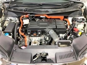 
									Honda Odyssey Absolute EX Pearl White 2020′ DLZH3 full								