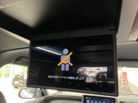 
									TOYOTA Alphard Z Pearl White 2024′ DWPGU full								