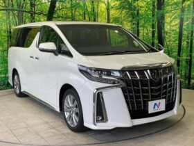 
									TOYOTA Alphard S Type Gold Pearl White 2020′ E349P full								
