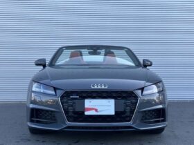 
									Audi TT Final Edition Silver/Grey 2020′ E34SZ full								