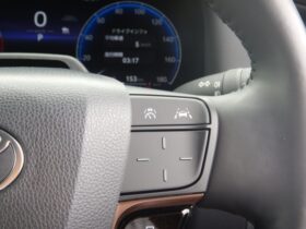 
									TOYOTA Alphard Z Black 2024′ E35OU full								