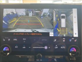 
									TOYOTA Vellfire Z Premier Black 2023′ E5DTP full								