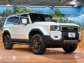 
									TOYOTA Land Cruiser Wagon VX Pearl White 2024′ EG16D full								