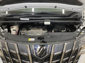 
									TOYOTA Alphard S Type Gold Pearl White 2020′ EI58N full								