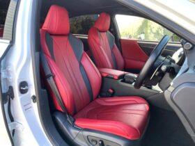 
									Lexus ES F Sport Pearl White 2020′ EK9NR full								