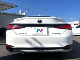 
									Lexus ES F Sport Pearl White 2020′ EK9NR full								