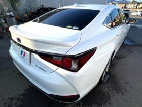 
									Lexus ES F Sport Pearl White 2020′ EK9NR full								