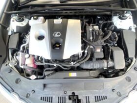 
									Lexus ES F Sport Pearl White 2020′ EK9NR full								