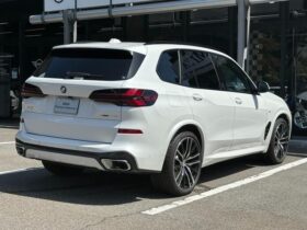 
									BMW X5 xDrive40d M Sport Pearl White 2025′ EOC55 full								