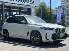 
									BMW X5 xDrive40d M Sport Pearl White 2025′ EOC55 full								