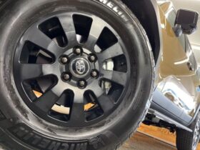 
									TOYOTA Land Cruiser Wagon ZX First Edition Gold/Grey 2024′ EOK42 full								
