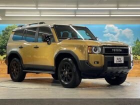 
									TOYOTA Land Cruiser Wagon ZX First Edition Gold/Grey 2024′ EOK42 full								