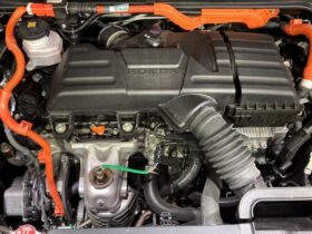 
									Honda Odyssey Absolute EX Black Edition Black 2024′ EOK5H full								