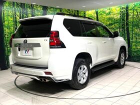 
									TOYOTA Land Cruiser Prado TX Pearl White 2022′ EOLAC full								