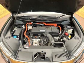 
									Honda Odyssey Absolute EX Black 2021′ EOLKR full								