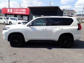 
									TOYOTA Land Cruiser Prado TX L Packet Matte Black Ed Pearl White 2023′ ESMKL full								