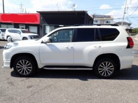 
									TOYOTA Land Cruiser Prado TX L Package Sunroof 7 Seater Pearl White 2020′ ESMKQ full								