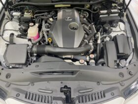 
									Lexus IS F Sports White 2020′ ESZQ9 full								