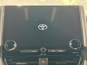 
									TOYOTA Alphard Z Black 2023′ EUZOJ full								