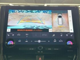 
									TOYOTA Alphard Z Black 2023′ EUZOJ full								