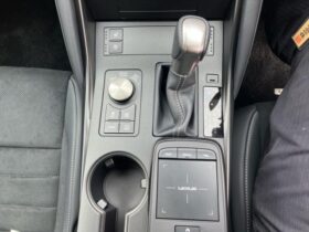 
									Lexus IS Special IS300h_F Sport Mode Bra Black 2023′ EXAP7 full								