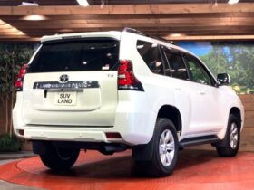 
									TOYOTA Land Cruiser Prado TX Pearl White 2023′ EZAIJ full								