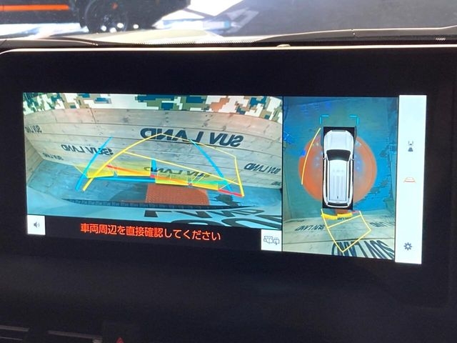 TOYOTA Land Cruiser Wagon VX Pearl White 2024′ EZAIK