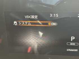 
									NISSAN Serena e-4ORCE Highway Star V Brown 2025′ F1ERM full								