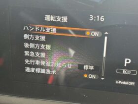 
									NISSAN Serena e-4ORCE Highway Star V Brown 2025′ F1ERM full								