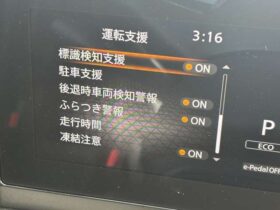 
									NISSAN Serena e-4ORCE Highway Star V Brown 2025′ F1ERM full								