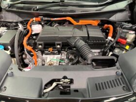 
									Honda Odyssey Absolute EX Black Edition Black 2024′ F3LX3 full								